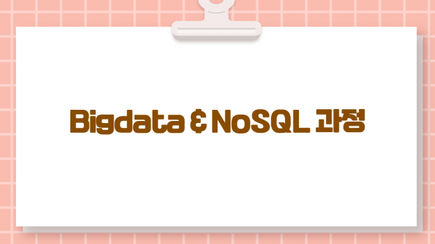 Bigdata & NoSQL 과정
