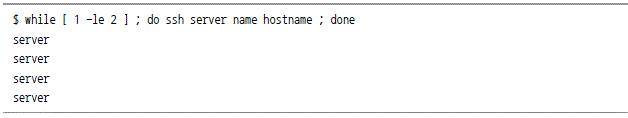 $ while [ 1 -le 2 ] ; do ssh server name hostname ; done server server server server