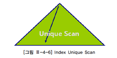 [그림 Ⅲ-4-6] lndex uniqye scan