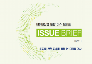 데이터산업 동향 이슈 브리프 ISSUE BRIEF 2022.11 디지털 전환 지수를 통해 본 디지털 격차